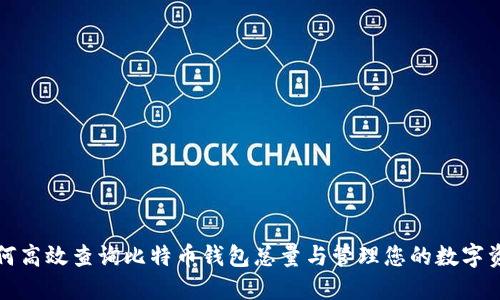 如何高效查询比特币钱包总量与管理您的数字资产