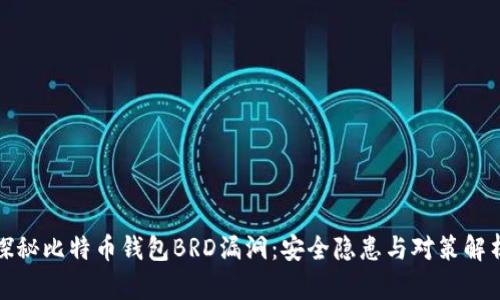 探秘比特币钱包BRD漏洞：安全隐患与对策解析