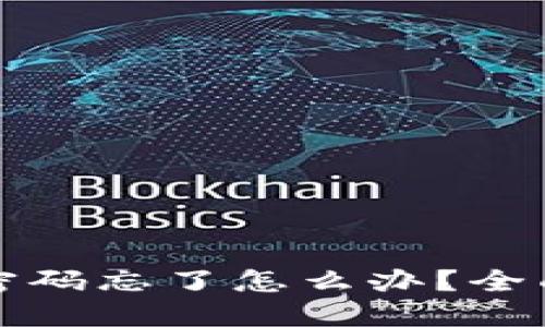 比特币钱包支付密码忘了怎么办？全面指南与解决方案
