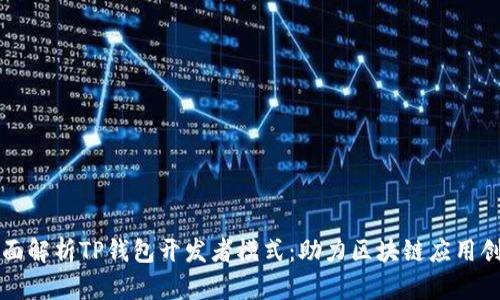 全面解析TP钱包开发者模式：助力区块链应用创新