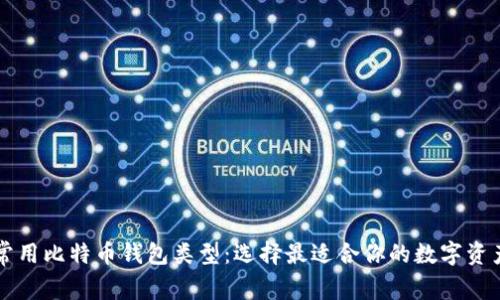 深入了解常用比特币钱包类型：选择最适合你的数字资产管理方式