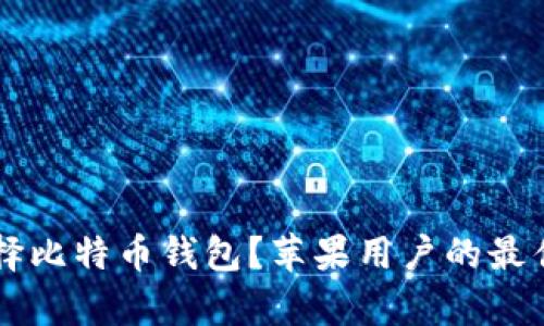 为什么选择比特币钱包？苹果用户的最佳选择解析