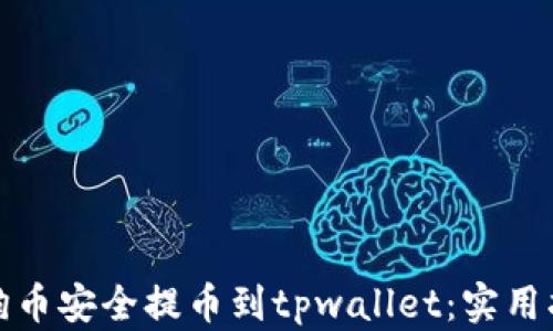 
如何将狗狗币安全提币到tpwallet：实用指南与技巧