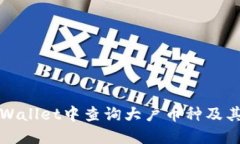 如何在TPWallet中查询大户币