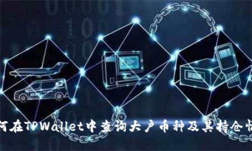 如何在TPWallet中查询大户币种及其持仓情况