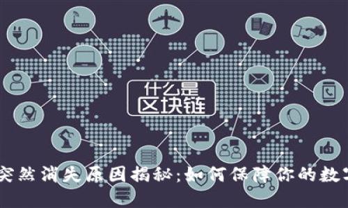 钱包USDT突然消失原因揭秘：如何保障你的数字资产安全