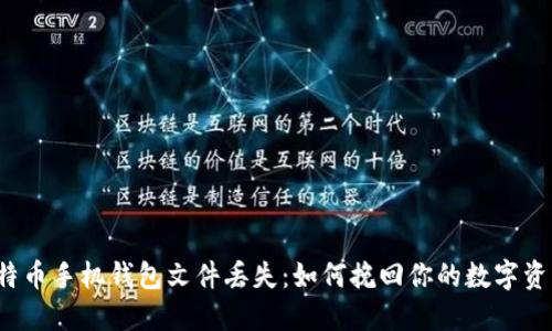 比特币手机钱包文件丢失：如何挽回你的数字资产？