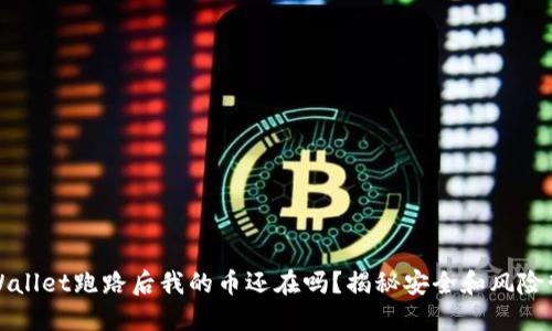 TPWallet跑路后我的币还在吗？揭秘安全和风险管理