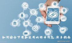 如何安全下载和使用比特币钱包：新手指南