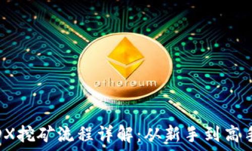   
TPWalletMDX挖矿流程详解：从新手到高手的全面指南