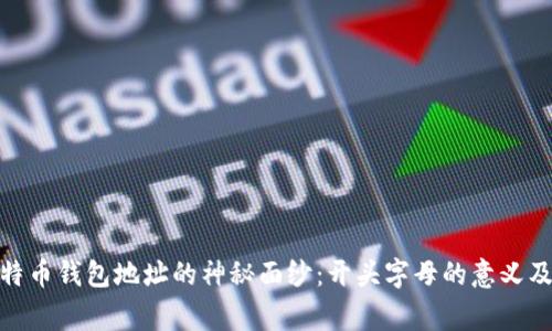 : 揭开比特币钱包地址的神秘面纱：开头字母的意义及背后故事