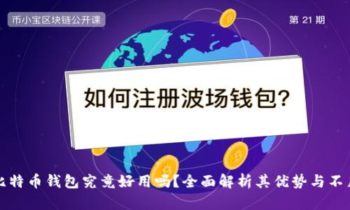 比特币钱包究竟好用吗？全面解析其优势与不足