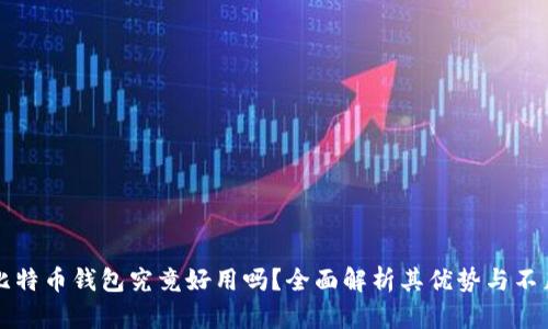 比特币钱包究竟好用吗？全面解析其优势与不足