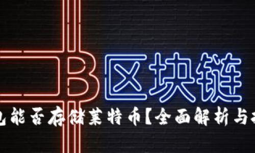 比特币钱包能否存储莱特币？全面解析与投资者指南