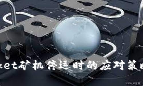 当TokenPocket矿机停运时的应对策略与解决方案