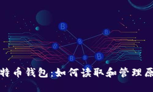 揭秘比特币钱包：如何读取和管理原始文件