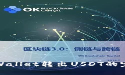 使用TPWallet转出USDT的完整指南
