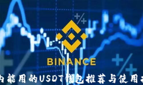 
国内能用的USDT钱包推荐与使用指南