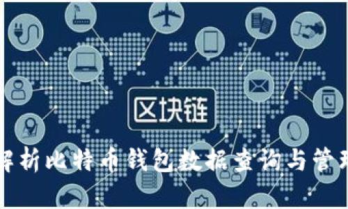 深入解析比特币钱包数据查询与管理技巧