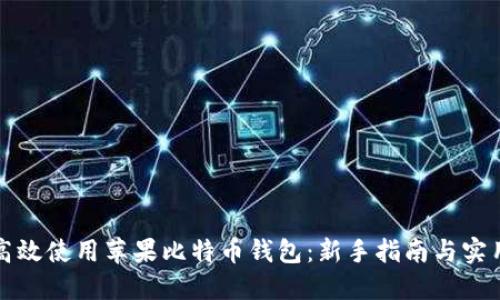 如何高效使用苹果比特币钱包：新手指南与实用技巧