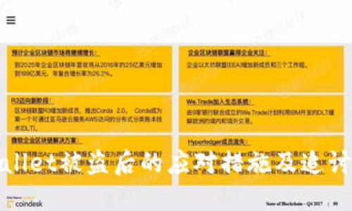 TPWallet被盗后的应对措施及追讨攻略