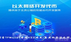 探索TPWallet中的BZZ项目：真
