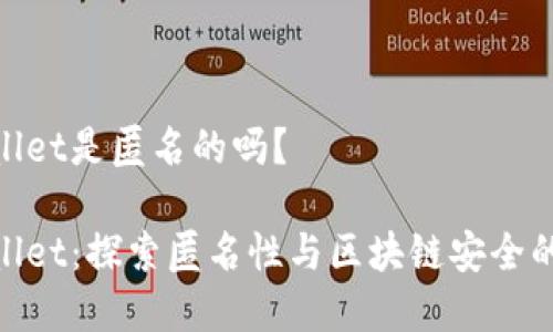 tpwallet是匿名的吗？

tpwallet：探索匿名性与区块链安全的结合