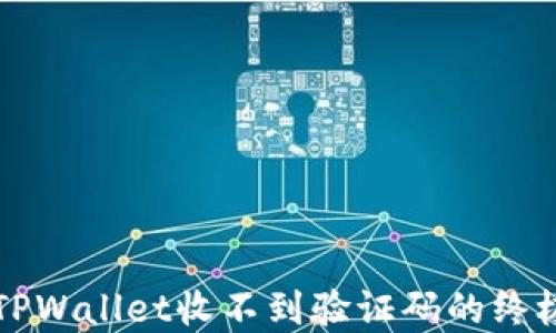 
解决TPWallet收不到验证码的终极指南