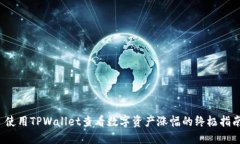  使用TPWallet查看数字资产