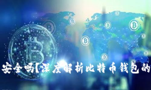 比特币钱包安全吗？深度解析比特币钱包的破解与防护