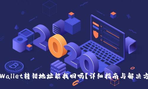 TPWallet转错地址能找回吗？详细指南与解决方案