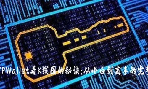 掌握TPWallet看K线图的秘诀：从小白到高手的完整指南