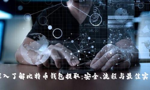 深入了解比特币钱包提取：安全、流程与最佳实践