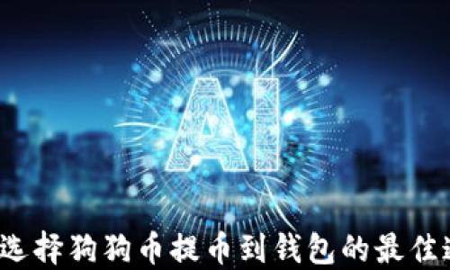 
如何选择狗狗币提币到钱包的最佳通道？