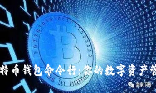 掌握比特币钱包命令行：你的数字资产管理利器