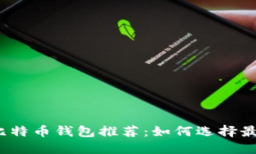 安全且好用的比特币钱包推荐：如何选择最适合你的钱包？