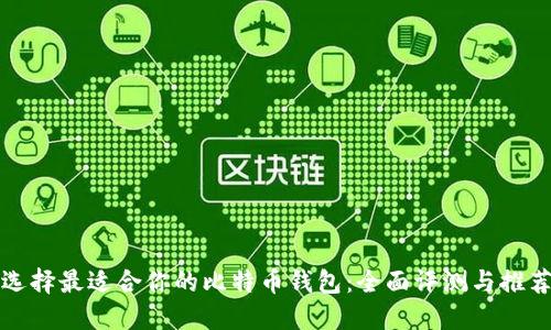 选择最适合你的比特币钱包：全面评测与推荐