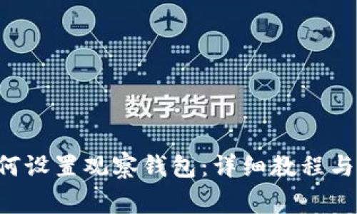 TPWallet 如何设置观察钱包：详细教程与常见问题解答