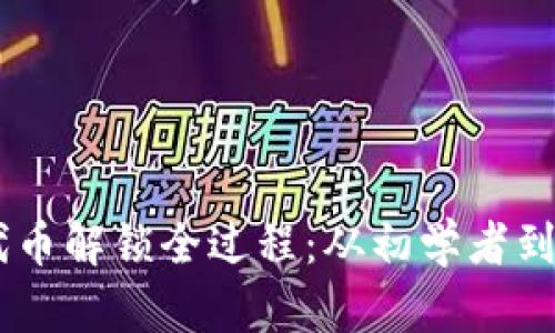 解析TPWallet代币解锁全过程：从初学者到高手的全面指南