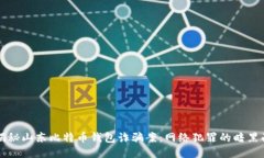 揭秘山东比特币钱包诈骗