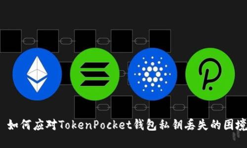 如何应对TokenPocket钱包私钥丢失的困境