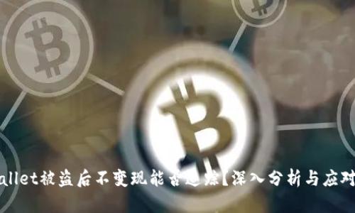 TPWallet被盗后不变现能否追踪？深入分析与应对方案