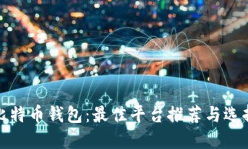 探索比特币钱包：最佳平台推荐与选择指南