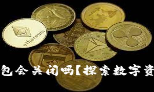比特币钱包会关闭吗？探索数字资产的未来