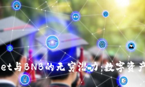 解锁TPWallet与BNB的无穷潜力：数字资产管理的未来