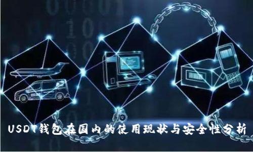 USDT钱包在国内的使用现状与安全性分析