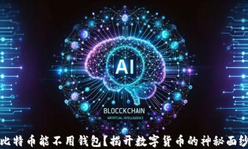 
比特币能不用钱包？揭开数字货币的神秘面纱