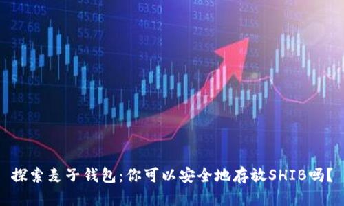 探索麦子钱包：你可以安全地存放SHIB吗？