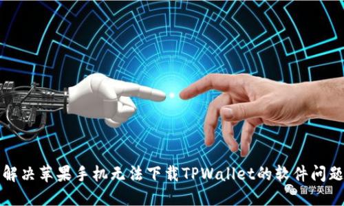 解决苹果手机无法下载TPWallet的软件问题