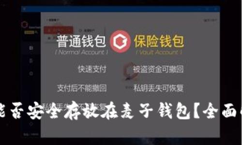 :  SHIB币能否安全存放在麦子钱包？全面解析与指南 